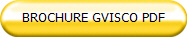 BROCHURE GVISCO PDF