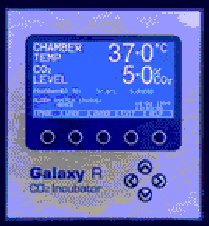 galr1.jpg (16918 byte)