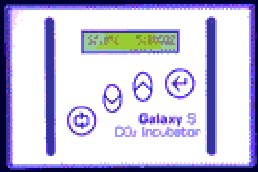 gals2.jpg (12635 byte)